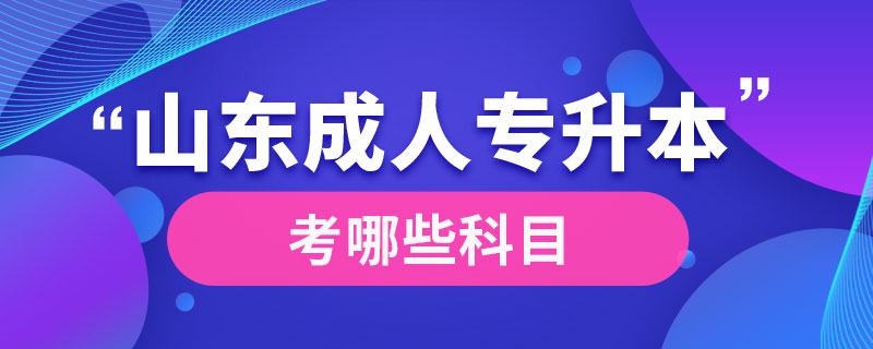 山東成人專升本考哪些科目