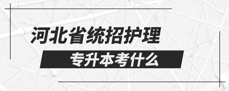 河北省統(tǒng)招護(hù)理專升本考什么