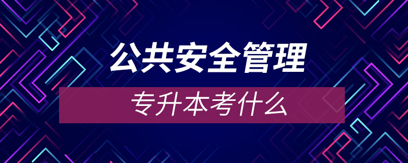 公共安全管理專升本考什么