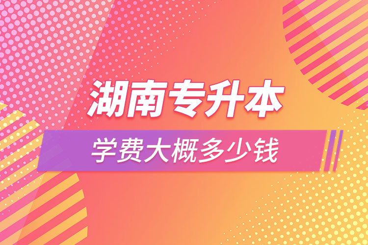 湖南專升本學費大概多少錢一年？