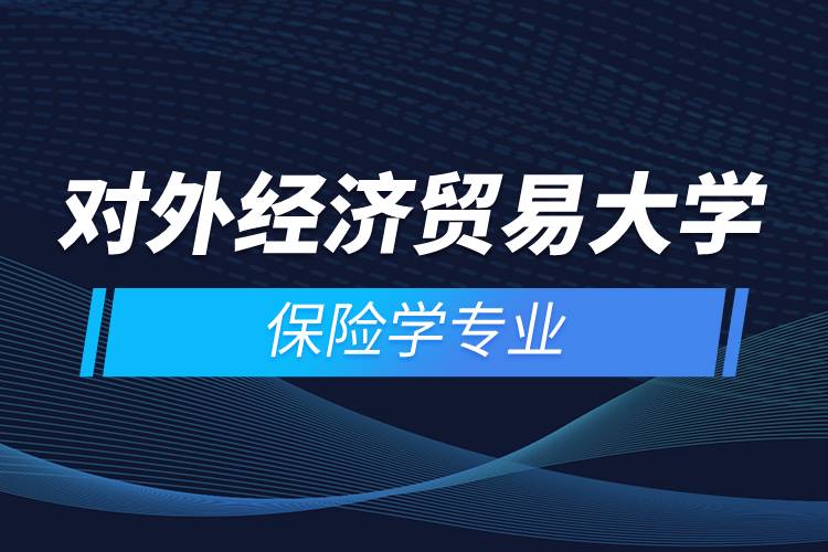 對外經(jīng)濟(jì)貿(mào)易大學(xué)保險學(xué)專業(yè)