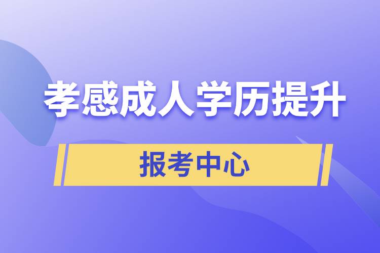 孝感有成人學(xué)歷提升報(bào)考中心嗎