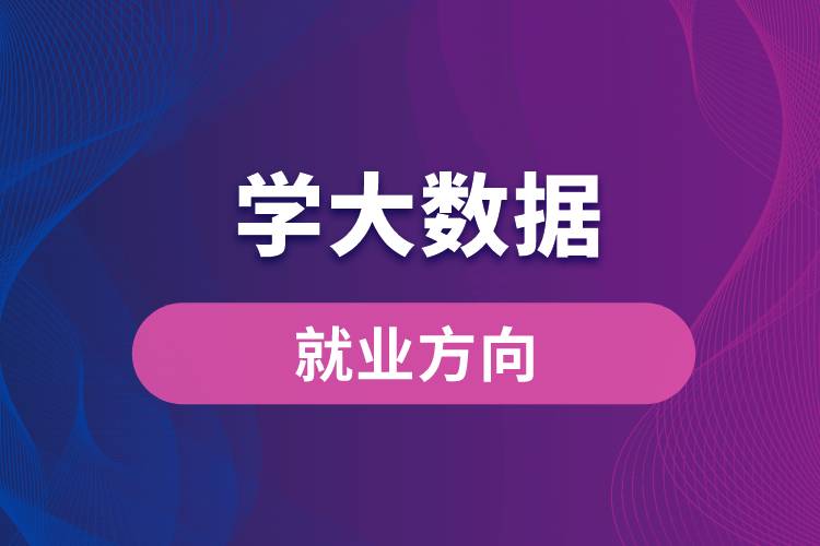 學大數(shù)據(jù)的就業(yè)方向