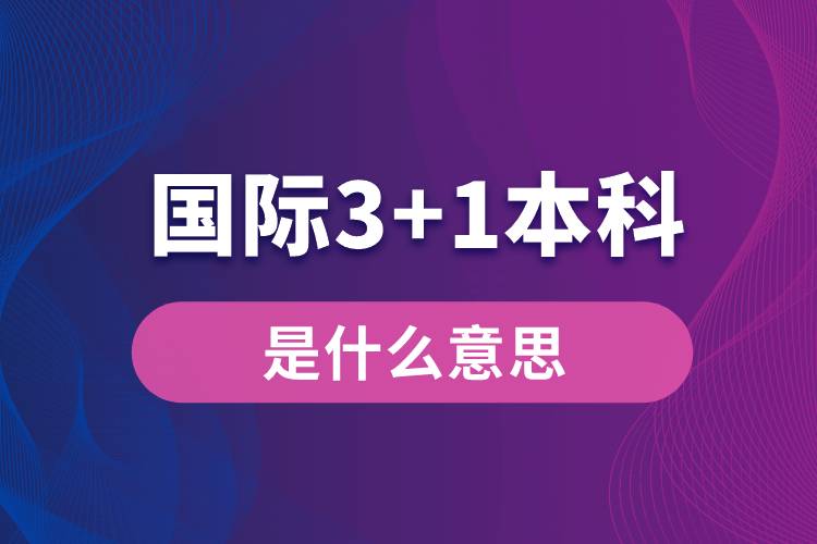 國際3+1本科是什么意思