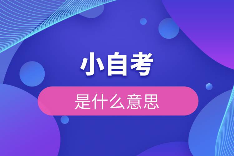 小自考是什么意思