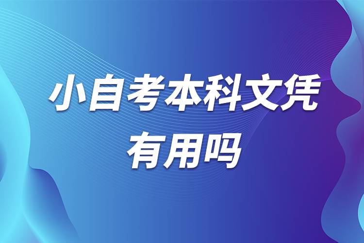 小自考本科文憑有用嗎