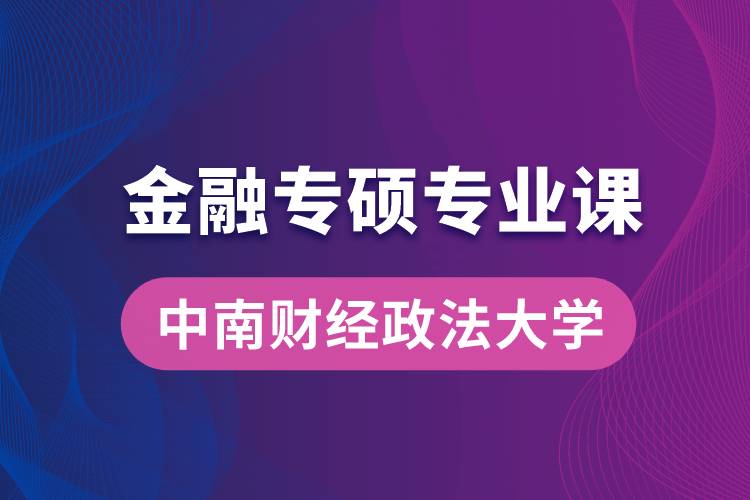 中南財經(jīng)政法大學金融專碩專業(yè)課