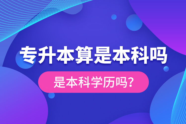 專升本算是本科嗎？是本科學歷嗎？