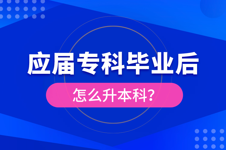 應(yīng)屆?？飘厴I(yè)后怎么升本科？