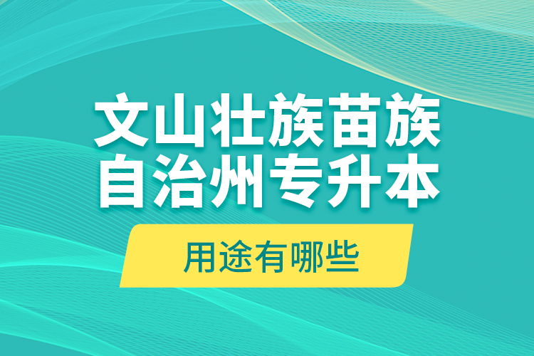 文山壯族苗族自治州專升本的用途有哪些？